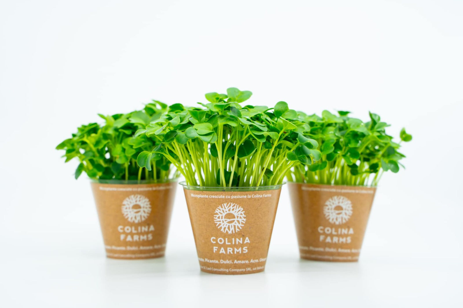 Microplante