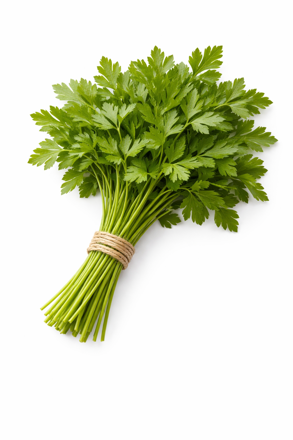 Patrunjel frunze